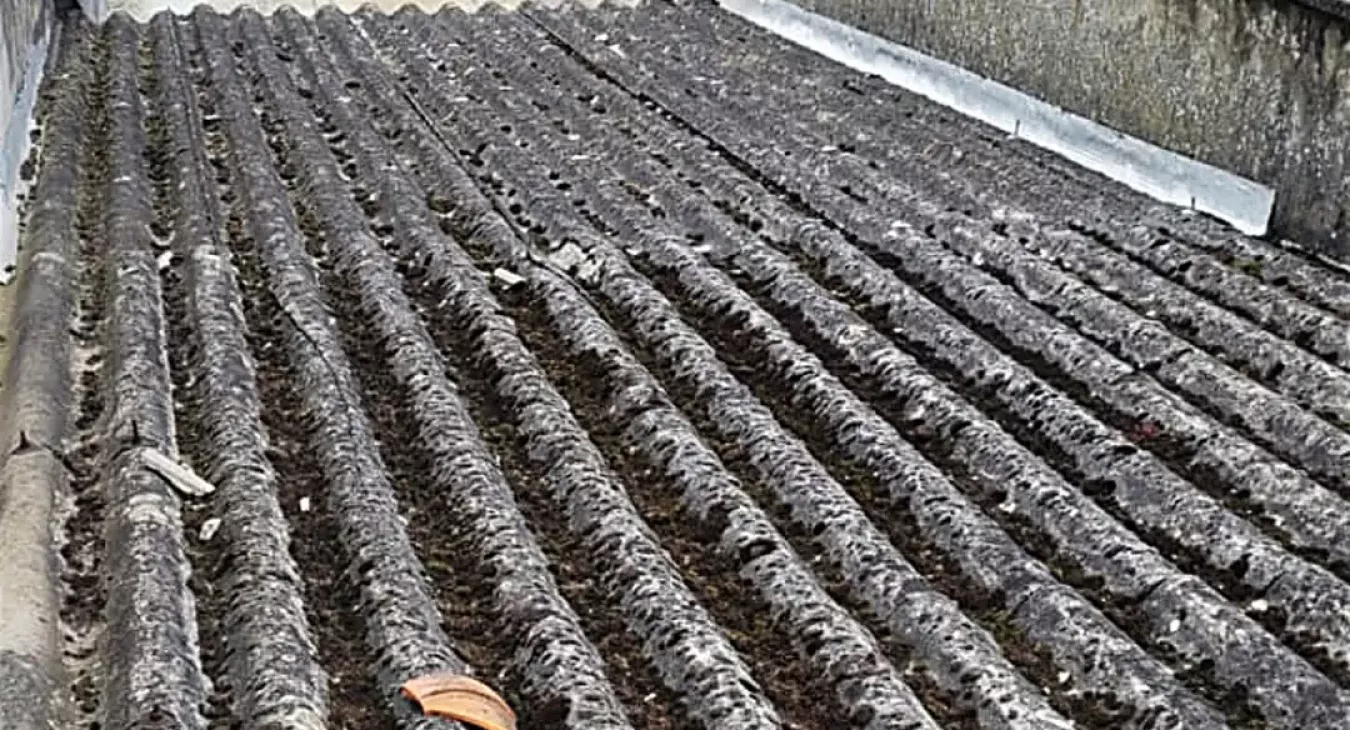 © Jeannot Decendre Renovation